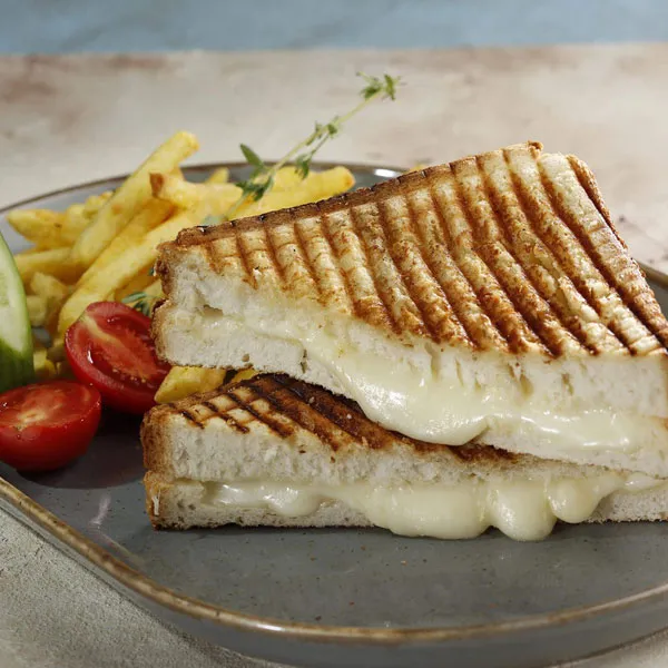 Tost Makinesi Tavsiye